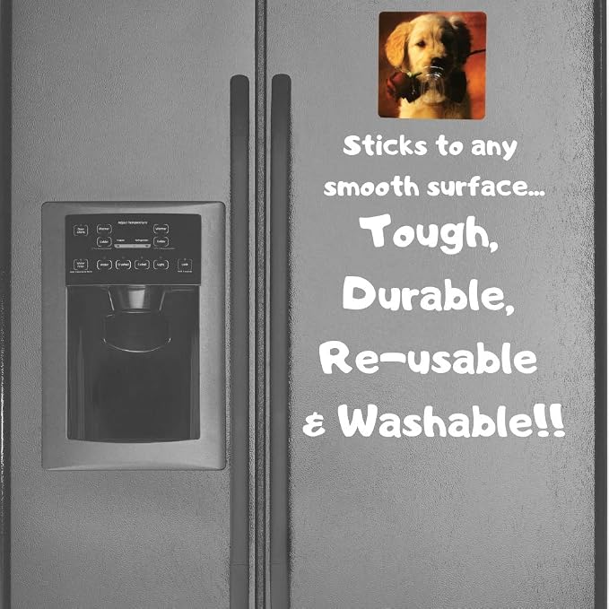 Puppy Decorative Wall Hooks, Pack of 12 Reusable Heavy Duty Hooks for Dog Leash, Collar, Keys, Hats & Towels, Non-Adhesive Square Hooks Hold Up to 4 lbs Each, Durable Pet-Themed Home Organization
