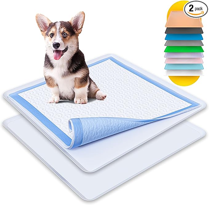 Dog Pee Pad Holder - Fits Up to 24” x 24” Pee Pad - 2 Pack - Grey | Stable Grip, Raised Edges, Quick-Wipe Silicone Surface Dog Potty Tray Holder for Indoor Flooring Protection