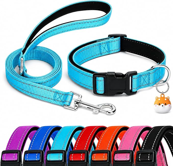 Reflective Soft Neoprene Padded Matching Dog Collar with Leash Airtag Holder Case Set Safety Breathable Adjustable Nylon Dog Collars for X-Small Small Medium Large Dogs-Sky Blue-XS