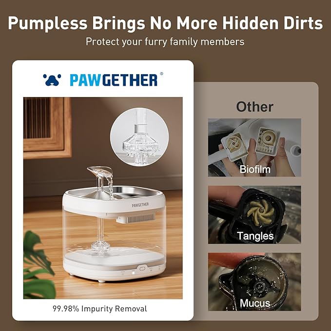 PAWGETHER® Cat Water Fountain with 4 Filters, Ultra Quiet Pumpless Pet Water Fountain with Stainless Steel Tray, 67oz/2L Water Fountains for Cats Indoor with 360° Motion Sensor for Cats & Dogs