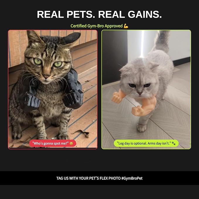 greenbar Muscle Arms for Cats, Cat Arms Muscle, Cat Arms, Sky Blue | Comfortable, Shoulder-Worn Cat Cosplay Accessory; Suitable For Halloween, Christmas, And Birthdays; Fits Small Cats And Dogs.