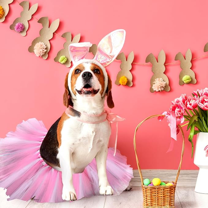 2 Pcs Dog Crown Headband Dog Tutu Dress Set Crystal Rhinestone Tiara Crown Tutu Skirt Pet Dress Costume for Puppy Birthday Party Wedding Photo Prop Costume(Medium,Rose Red, White)
