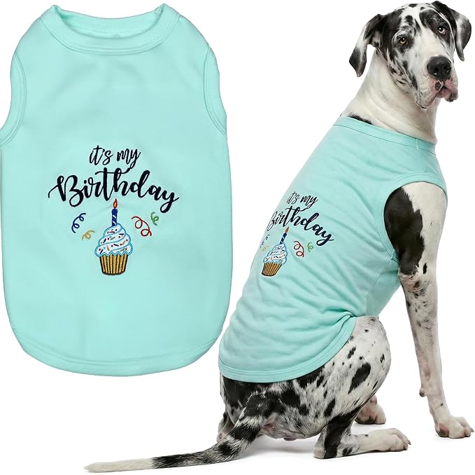 Parisian Pet Dog T-Shirt with Embroidered 'It's My Birthday' Words