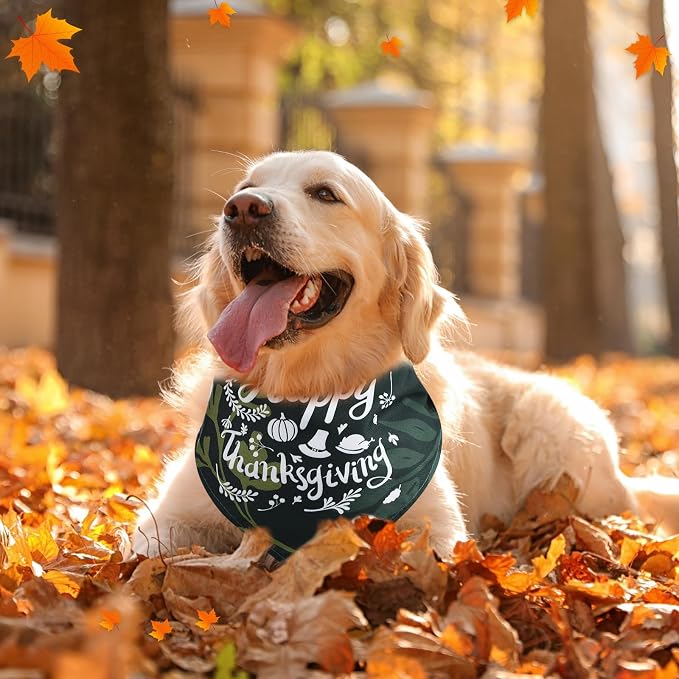 Sanwuta Fall Dog Bandanas Bulk Thanksgiving Scarfs Washable Adjustable Pumpkin Maple Leaves Pet Bibs Triangle Holiday Costume Accessories for Small Medium Large Pets Grooming Supplies(180 Pcs)