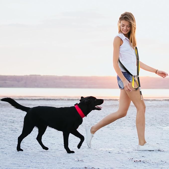 Dog Poop Bag Holder with Dispenser & Storage Pouch - Includes Adjustable Reflective Dog Leash (6FT Bungee, Padded Handles) - Durable Leash for Walking, Training & Travel (Aqua)