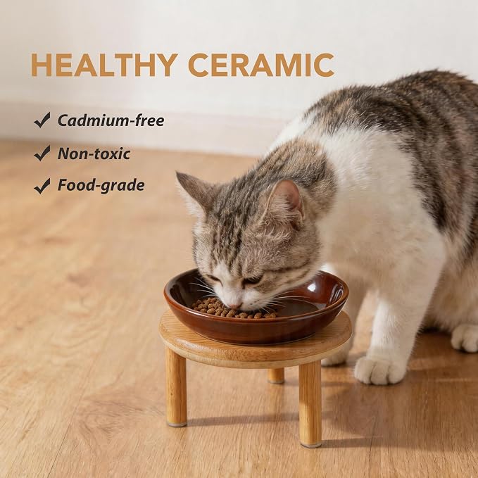 Havniva Elevated Cat Bowls, Ceramic Cat Bowl with Bamboo Stand Wide Opening | 5.7” Raised Cat Food Bowls, Whisker Friendly Cat Dish, Anti-Slip Cat Water Bowls, Shallow Cat Bowls, Cat Food & Water Bowl