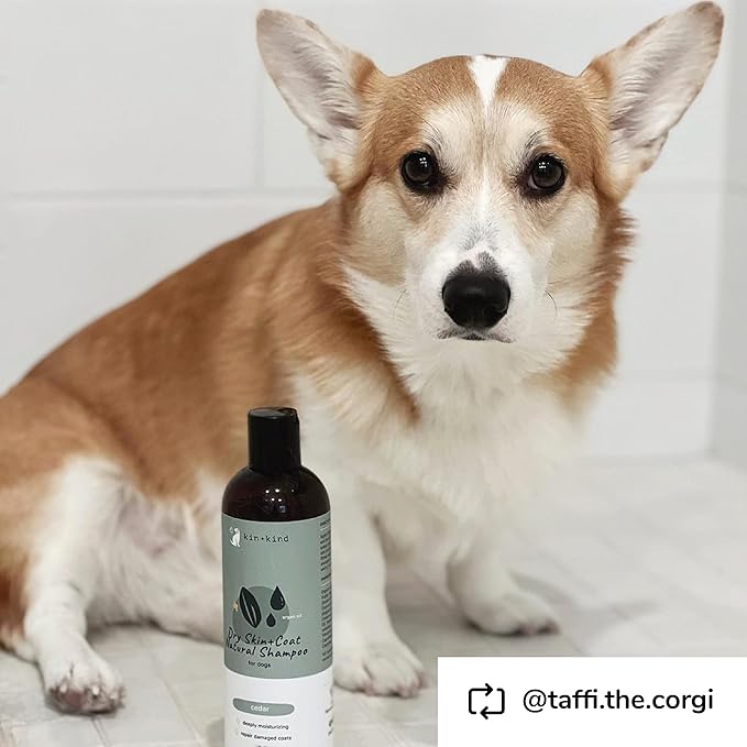 kin+kind Dry Skin + Coat Natural Dog Shampoo - for Dry Skin & Coat - Argan Oil Moisturizing Clean - Cedarwood Fragrance - 12 fl oz