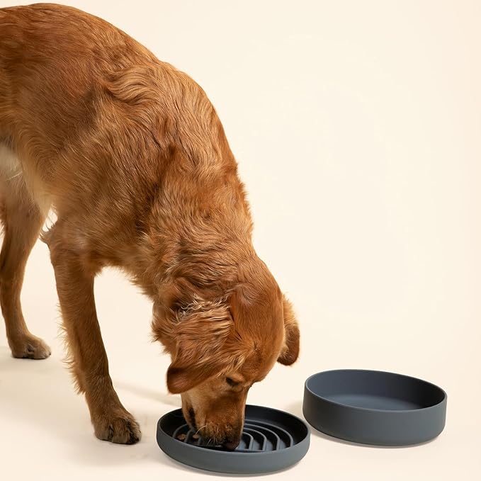 Should We Go? Dog Water Bowl - The Perfect Dish No-Spill, Less Mess Non-Tippable Water & Food Bowl, Pure Silicone with Suction Cup, Fits 8 Cups 9.5" Across x 2.5" Tall, Ideal for All Pets, Large-Blush