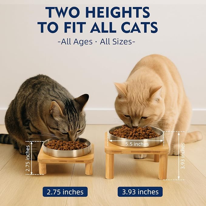 DoogCat Raised Cat Bowl, Elevated Cat Bowls with Bamboo Stand, Set of 2 | Premium Stainless Steel Bowls, Adjustable Height, Whisker-Friendly Design, Elevated Feeding, Easy to Clean