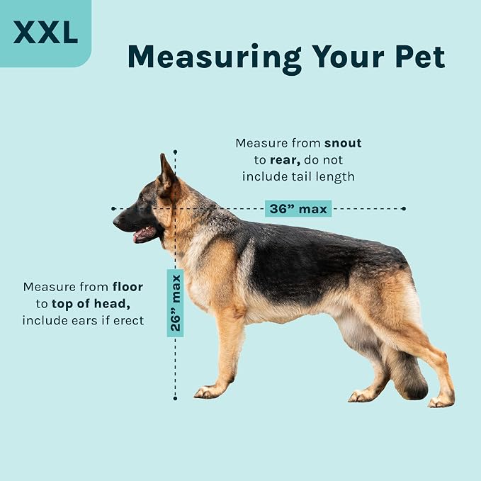 SportPet Airline Compliant XX-LARGE 39" Travel Dog Kennel-Durable Plastic Airline Pet Carrier w/ Removable Wheels & Food Bowls, Collapsible Indoor/Outdoor Dog Kennel, Dogs up to 36"L & 27"H-Cream/Gray