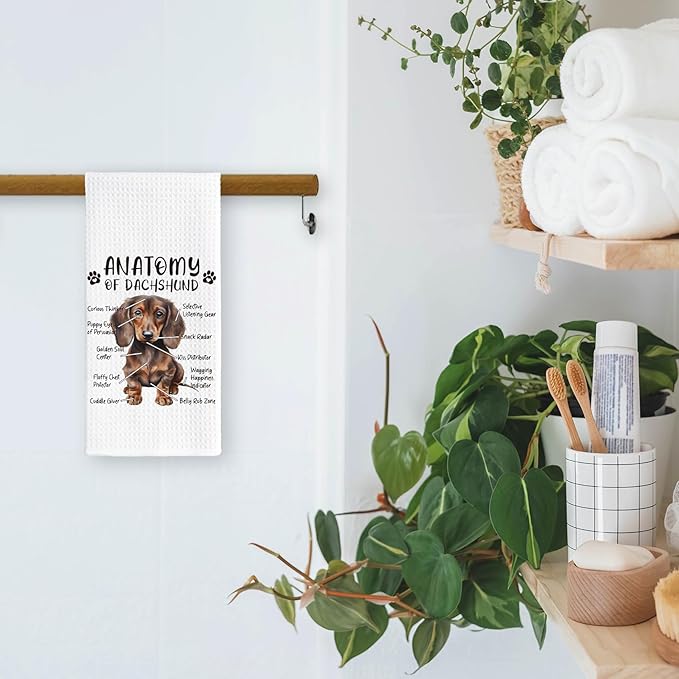 Dachshund Dog Kitchen Towels, Dachshund Lovers Hand Dish Towels for Women & Men, Dog Anatomy Tea Towel for Home Kitchen & Bathroom