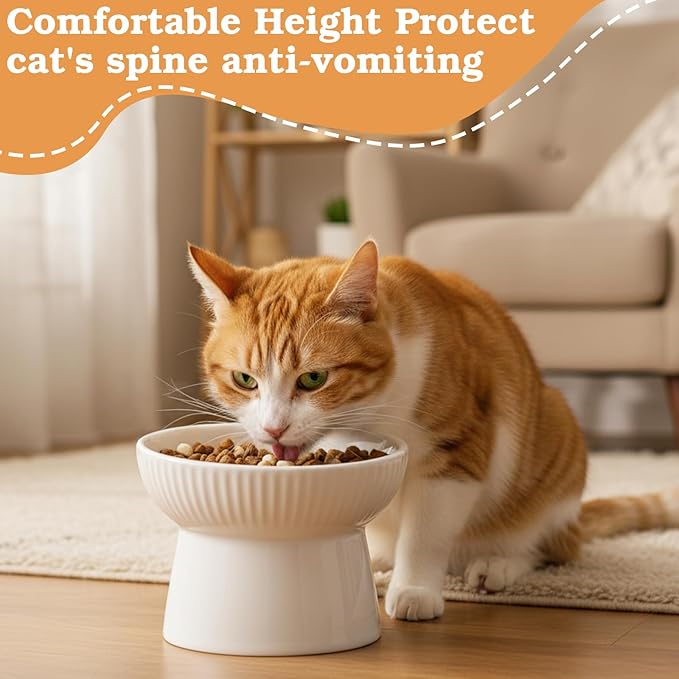 2 Pcs Cat Elevated Ceramic Bowls Raised Cat Food and Water Dishes, High Edge, Anti Vomiting Cats Feeder Bowl for Pets Kitten Puppies Dry Wet Food and Water, Dishwasher Safe