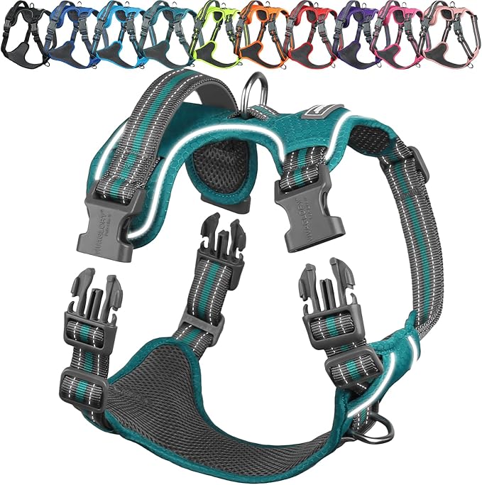 VIVAGLORY No Pull Dog Harness Vest Harness, XS, Hunter Teal - Patterned | with Handle Front and Back Clip for Training & Pulling, No Pull & Escape Proof Padded Adjustable for Pet Puppy