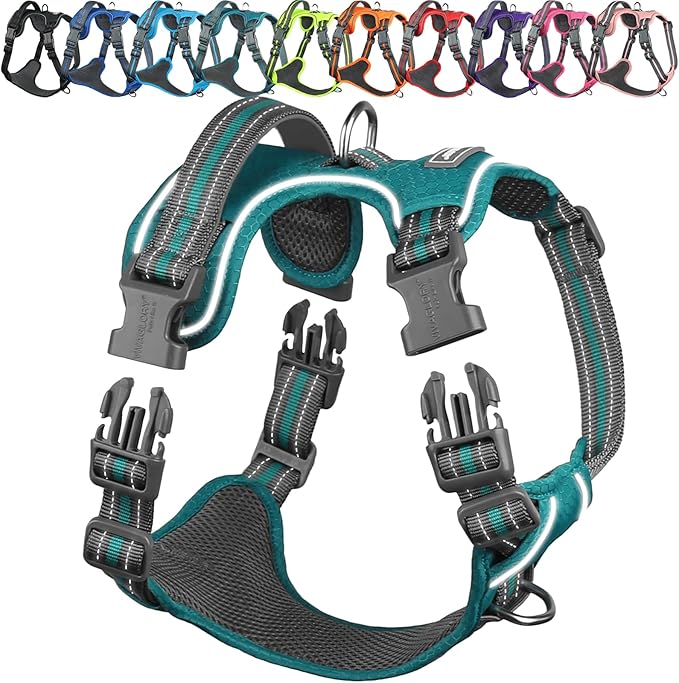 VIVAGLORY No Pull Dog Harness Vest Harness, M, Hunter Teal - Patterned | with Handle Front and Back Clip for Training & Pulling, No Pull & Escape Proof Padded Adjustable for Pet Puppy