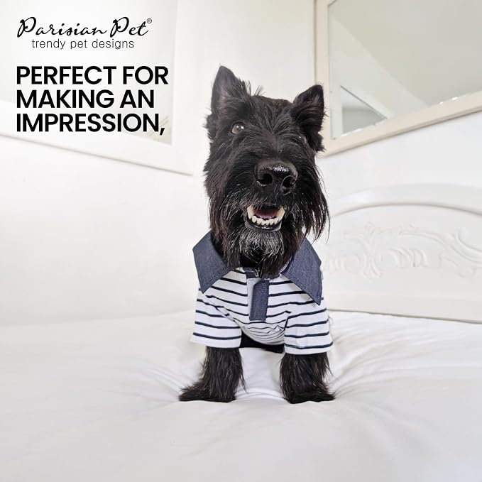 Parisian Pet Preppy Boy Polo Dog Shirt – Classic Cotton Pet Apparel with Collar - Soft Breathable Puppy T-Shirt - Cute Trendy Dog Clothes - Ideal Summer Clothes for Medium Dogs - Shirts for Dogs Boy