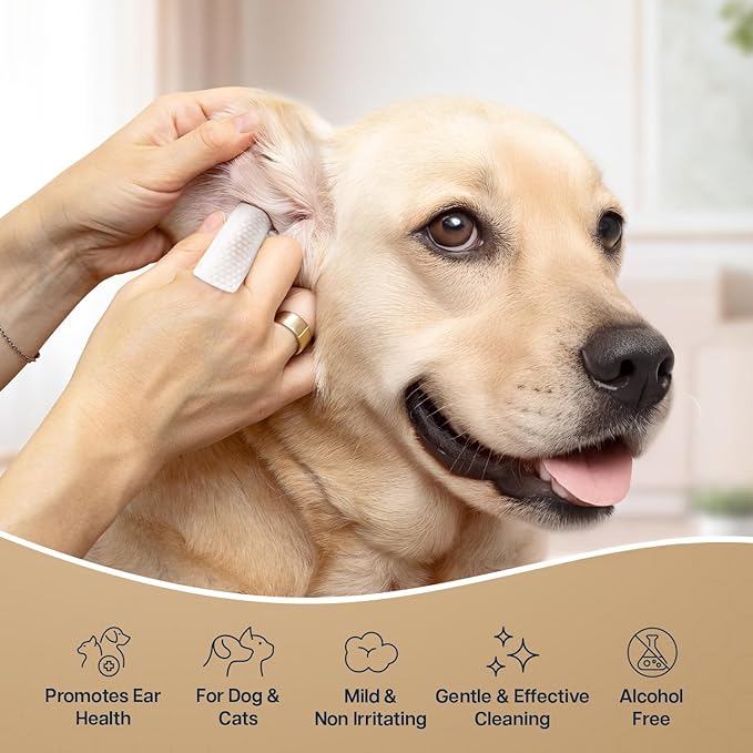 REFRESHIFY Dog Ear Wipes - 100 Value Pack - Mint Ear Wipes for Dogs, Vet Formulated Pet Ear Wipes for Dogs & Cats – Effective Dog Ear Cleaner for Itch Relief, Wax & Odor