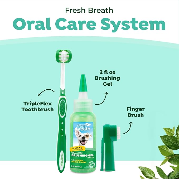 TropiClean Fresh Breath Toothbrush and Toothpaste Kit for Dogs, Teeth Cleaning Kit for Plaque & Tartar Removal, Breath Freshener, Dog Dental Care