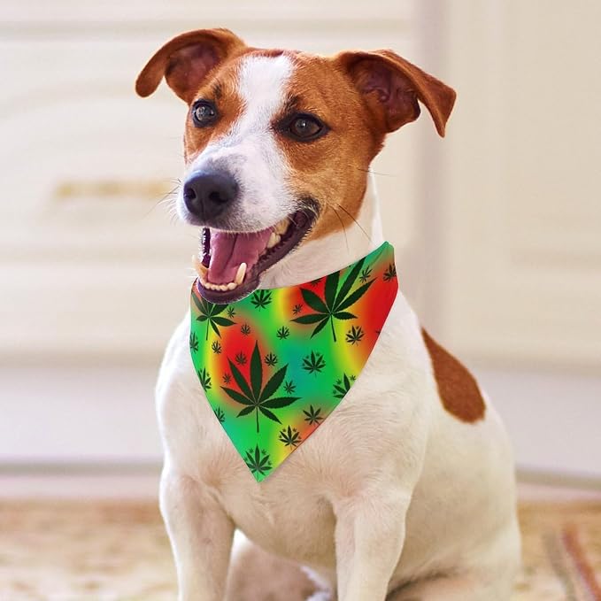 Washable Portable Pet Scarf Rasta Leaf Weedleaf for Small to Large Dogs Travel, Wedding Party, Daily Wear, Ultra Soft Fashion Scarves