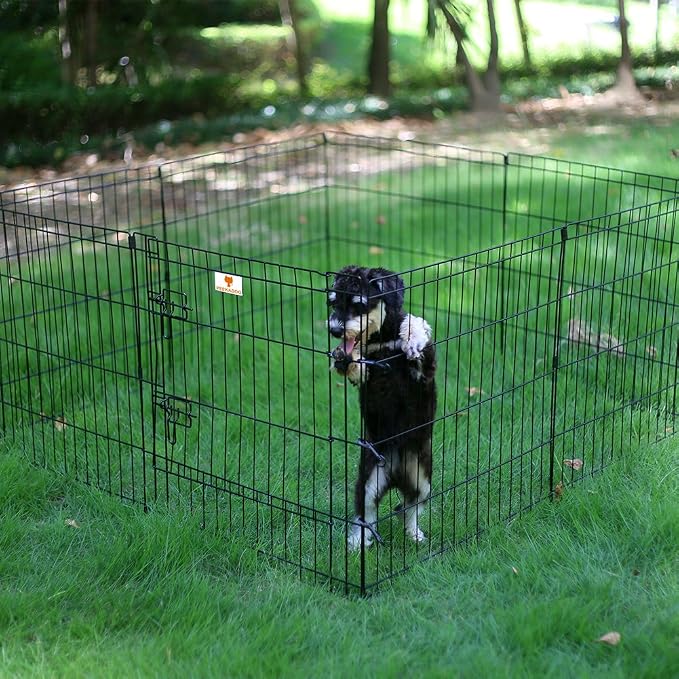 Peekaboo Dog Playpen 24 Inch, 8 Panel Foldable Rustproof Pet Fence, Black | Sturdy Metal Pet Fence,Quick Folding Setup,Indoor and Outdoor Use,Climate Pledge Friendly Choice