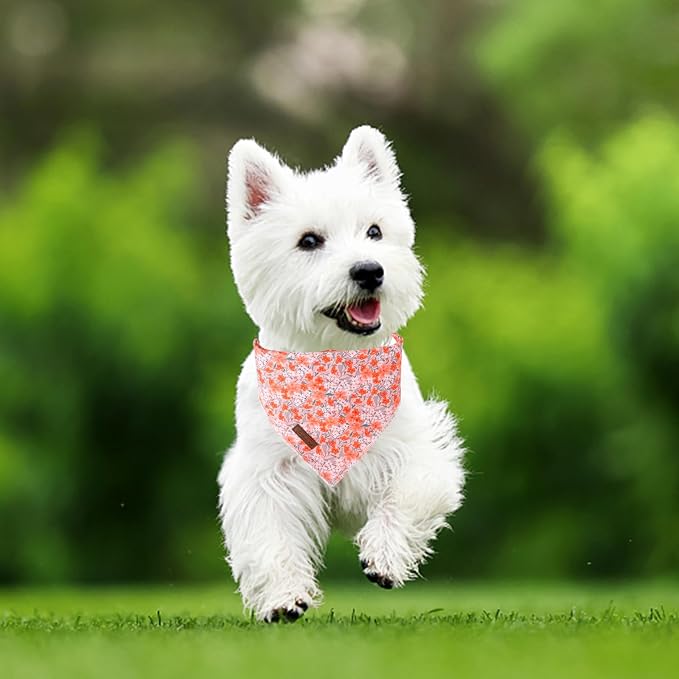 Summer Dog Bandana, UP URARA PUP Orange Bandana for Small Large Dogs, Cotton Handkerchief Cute Flower Puppy Triangle Bid Scarf for Boy Girl Dogs