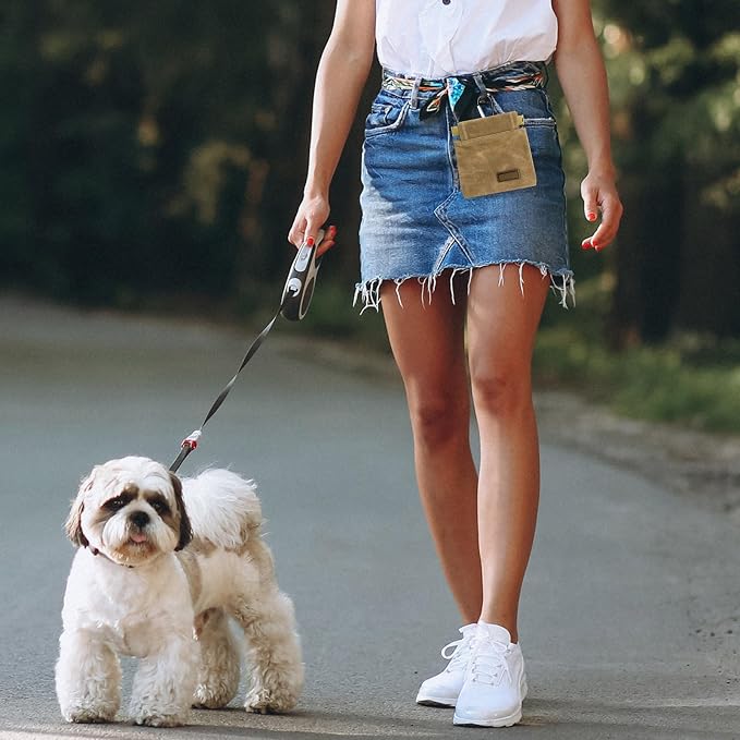 Dog Treat Pouch, Portable Auto Closing Dog Training Treat Bag with Carabiner, Hands Free Pocket Sized Snack Reward Pouch for Puppy Walking Travel Outdoor Use, Brown