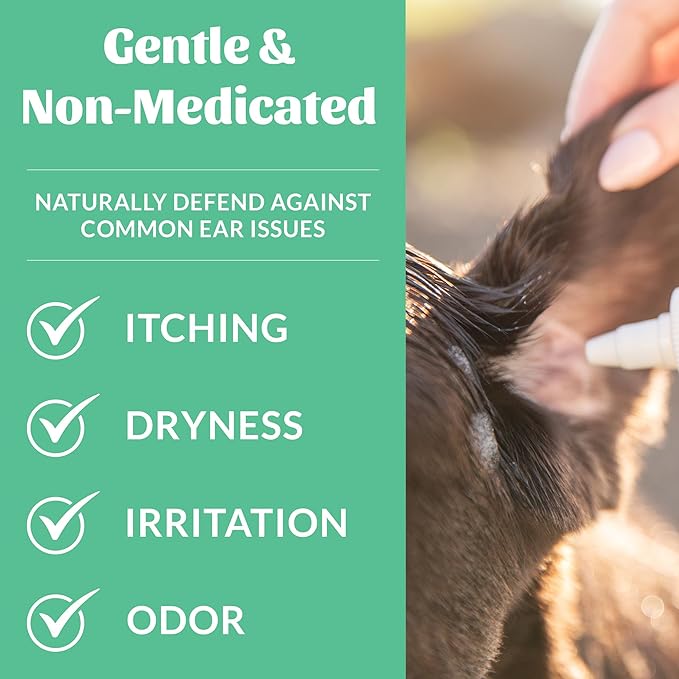 SKOUT'S HONOR Probiotic Dog Ear Cleaner Solution with Aloe Vera - Alcohol-Free, Fragrance-Free, Non-Medicated Ear Wash for Dogs - Microbione Friendly Certified, 4 oz.,
