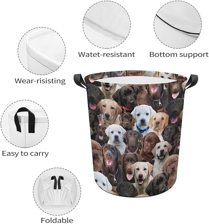 Large Laundry Hamper for Labrador Dog Lover, Waterproof Laundry Basket with Handle, Cute Labrador Dog Print Collapsible Clothes Storage Organization for Bathroom Bedroom Laundryroom