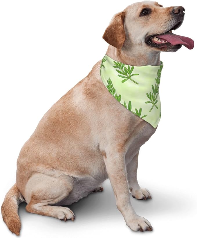 Sage Green Dog Bandana,Adjustable Triangle Bibs Dogs Scarf,Puppy Neckerchief Dog Cat Bib for Spring Summer (Grass Green)