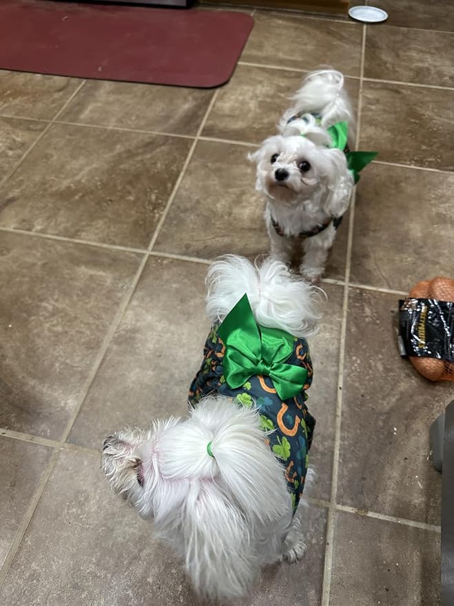 St. Patrick's Day Dog Costume Dress L, Green Clover and Horseshoe Print with Satin Bow, Pet Dress for 11-13 lbs Dogs and Cats, Festive Holiday Clothing