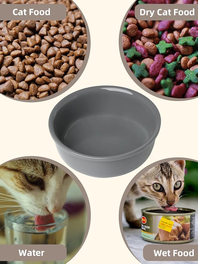 GDCZ Elevated 15 Oz Ceramic Double Cat Bowls with 11.6x2.5 Inch Stand (Grey)