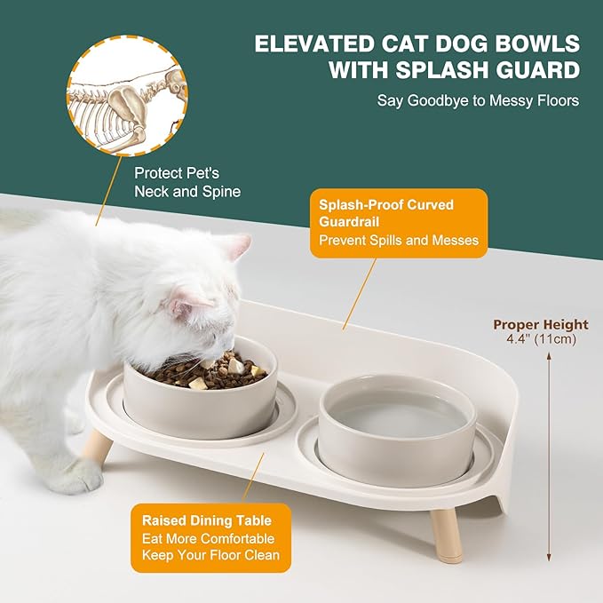 Raised Cat Food and Water Bowl Set - Elevated Ceramic Dishes with Non-Slip Stand and Splash Guard for Small Dogs - 2 x 320 ML (4.9 OZ) - Green