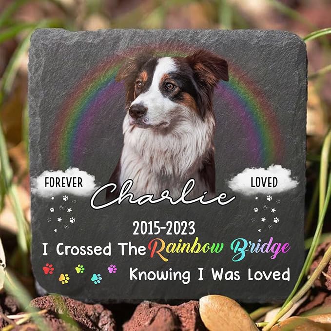 Wrappiness Pet Memorial Stone - I Crossed The Rainbow Bridge, Personalized Dog Memorial Gifts, Remembrance Condolences Bereavement Gifts for Loss of Pet Custom Photo (Square 04, Stone)