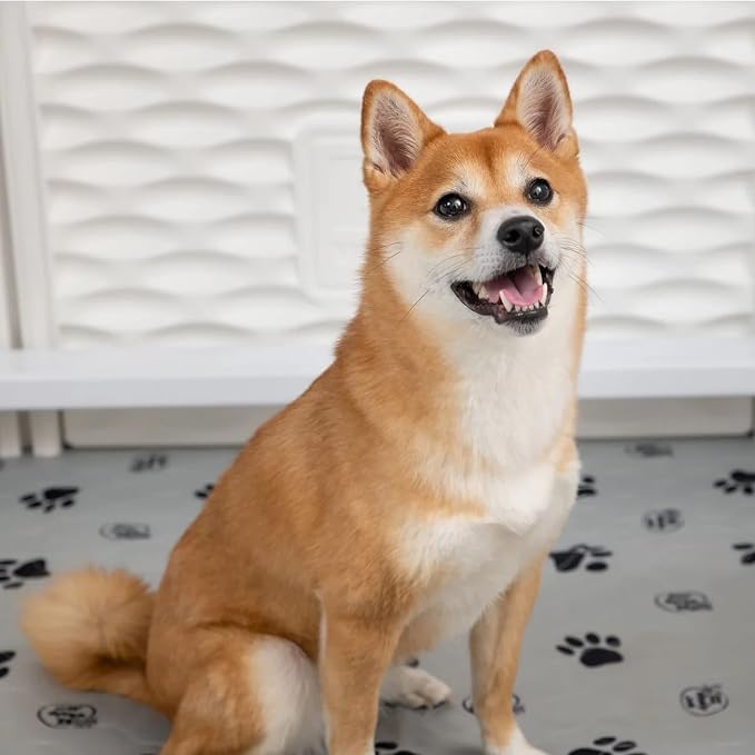 EZclassic Dog Whelping Box - Washable Pee Pad, Small 28"x28"x18" | Padded whelping box for puppy supplies and newborn care, includes protective rails and black pad for easy cleaning
