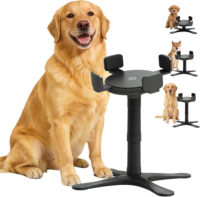 Raised Food Bowl for Dogs,Tilted Pet Feeder Stand,Non Slip Dog Bowls Stand,Dog Food Bowl Stand，for Small Medium Dogs,Adjustable for 5.5"-9.6" Bowls，Heavy-Duty Plastic，(Black, 1-Pack)