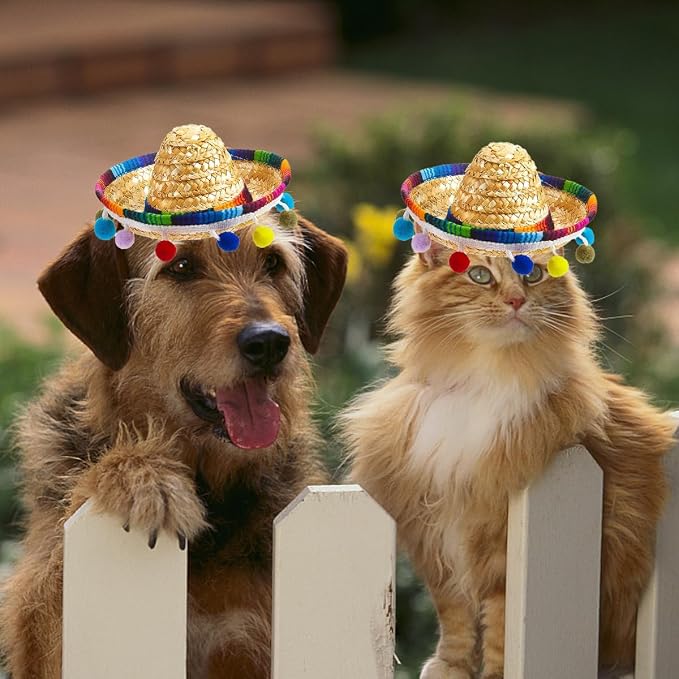 Pet Mexican Hat, Colorful Bobble Ball Tassel, Adjustable Design, Comfortable and Fashionable Dress for Small and Medium-Sized Pets. (Colorful)