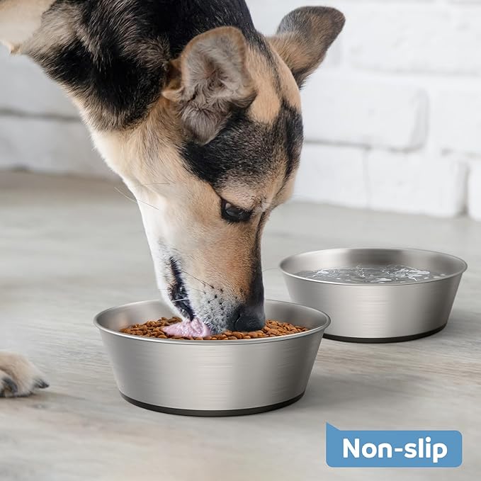 WROSWT 304 Stainless Steel Dog Bowls Set of 2, Anti Rust Metal & Non Slip Rubber Base, Heavy Duty Large Feeding Dishes, Food Grade BPA Free, Food and Water Bowl for Medium Dogs (48oz, 6cup)