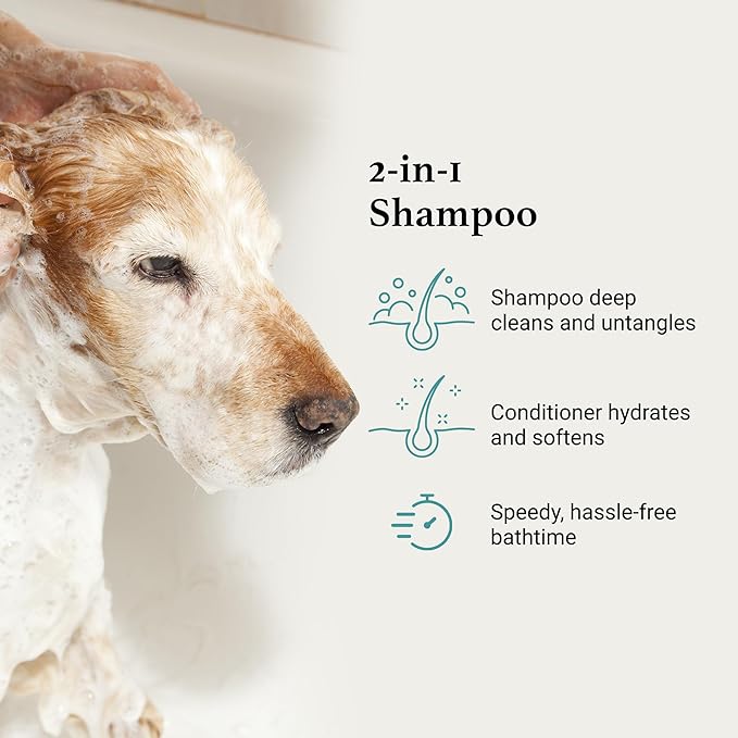 iGroom All-in-One Dog Shampoo + Conditioner, Luxury Pet Beauty Care, Deep Clean All Coat Types, Hydrate and Condition Coat, Made in the USA, Gallon
