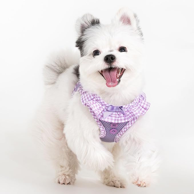 Puppia Vivien Dog Vest Harness B (Step-in) Fashionable Mesh Spring Summer Harness for Small Dogs, Violet, X-Small