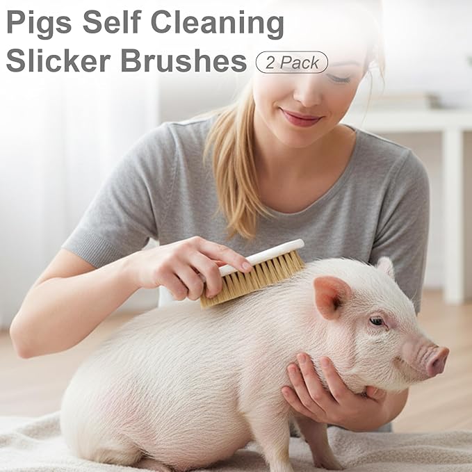 Pigs Self Cleaning Slicker Brushes -2 Pack Grooming and Scratch Brush for Mini Pigs, Rice Root Brush for Enrichment, Includes 10 Mounting Screws