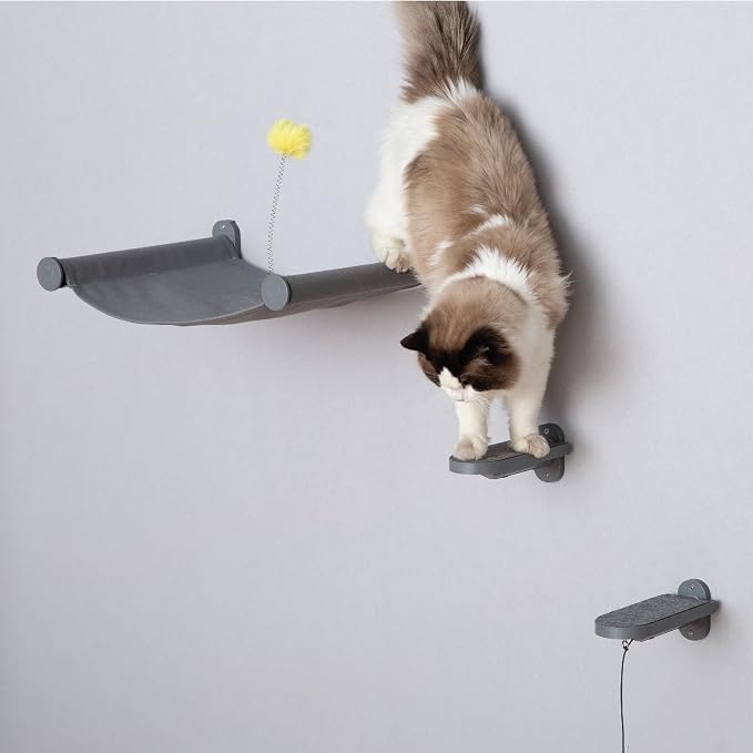 Cat Wall Steps (2-Pack), Climbing Stairs with Replaceable Felt Pad, Cat Shelves with Toy, Dark Grey