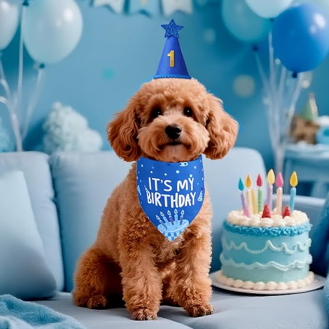 Blue Dog Birthday Party Supplies with Hat Bandana Numbers | Dog Birthday Set for Large Medium Boy Pets Puppy Cats