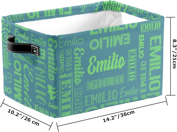 Personalized Toy Box Storage Bins for Boys Girls with Name, Kids Custom Storage Basket Cubes Organizer with Handles, Shelf Closet Storage Baskets Bin Customized Gift, 1 Pack