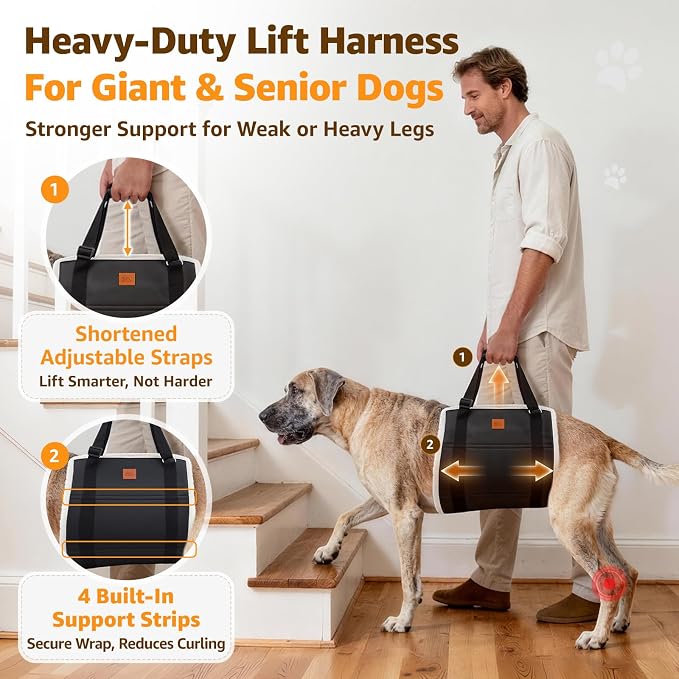Adjustable Heavy Duty Dog Lift Harness for Giant Dogs Hind Leg Support | Sturdy Support, Helps Seniors, Injured, Disabled and After ACL Surgery Dogs, Saves Your Back, Soft Padding, Daily Walk/Stairs