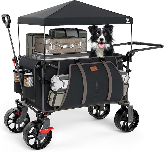 EVER ADVANCED Folding Push Wagon with Canopy, Shopping Cart with Brakes | Portable Collapsible Wagon Cart with All-Terrain Big Wheels for Camping, Beach, Sports