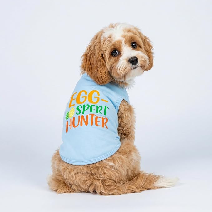 Fitwarm Egg-spert Hunter Dog Easter Outfit, Summer Clothes for Small Dogs Boy Girl, Pet Outfit, Blue, Red, Green, Orange, Large