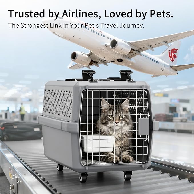 Hard-Sided Elevated Carrier: Rolling Pet Crate Ventilated 25 lbs | Smooth-Rolling Wheels & Pull Strap / Top Access Door / Spacious Interior / 360° Ventilation / Includes Feeding Bowl