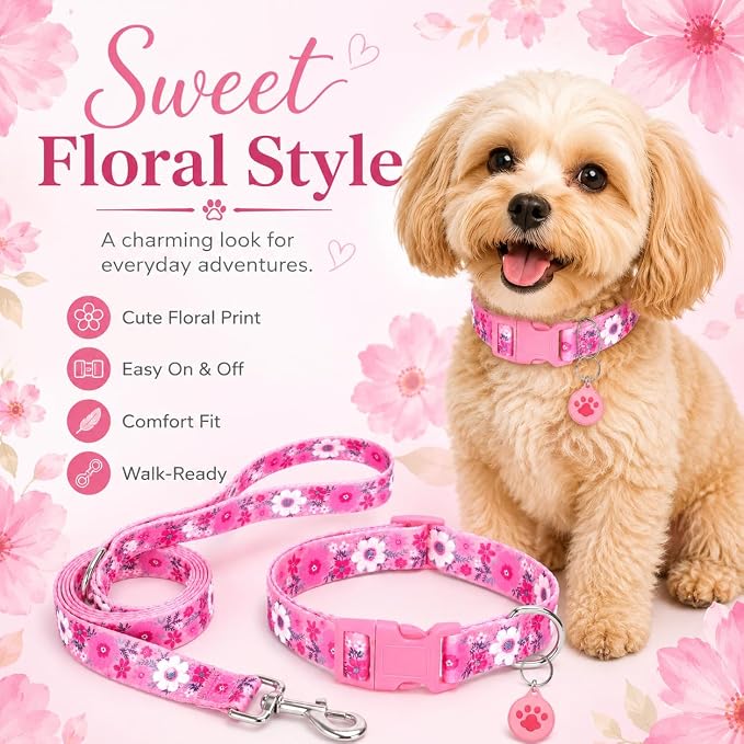 Floral Matching Dog Collar and Leash Set with AirTag Holder-Pink Daisy/M | Anti-Lost,Adjustable Durable Pet Collar Leash Combo for Medium Boy Girl Dogs,for Outdoor Walking Hiking Training Running