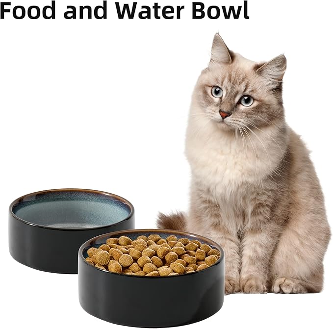 Havniva Ceramic Set of 2 Cat Bowls, Food and Water Bowls for Cats, Kitty, 2pcs Cat Dishes, Pet Feeder(5.1inch, 2 x Starry Sky Bowls)
