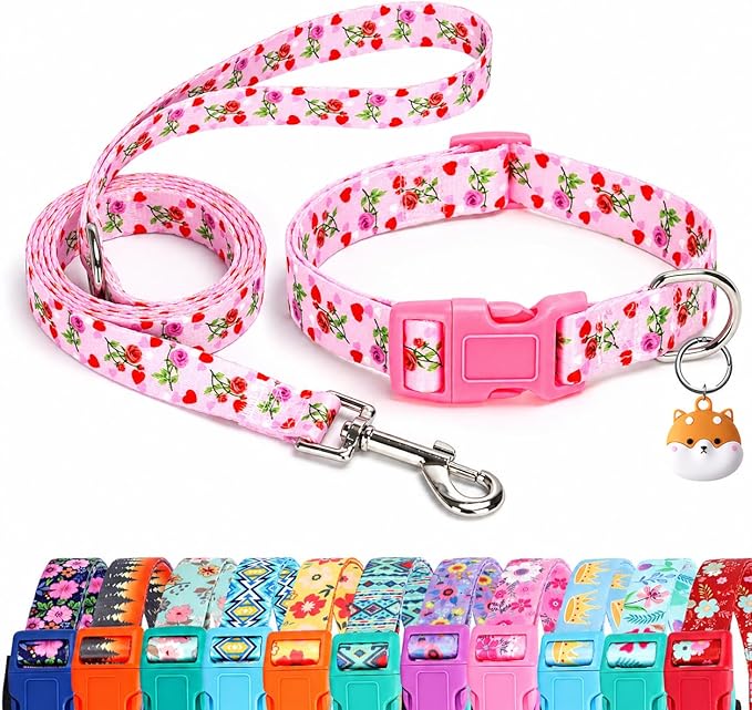 Floral Matching Dog Collar and Leash Set with AirTag Holder-Valentine's/M | Anti-Lost,Adjustable Durable Pet Collar Leash Combo for Medium Boy Girl Dogs,for Outdoor Walking Hiking Training Running