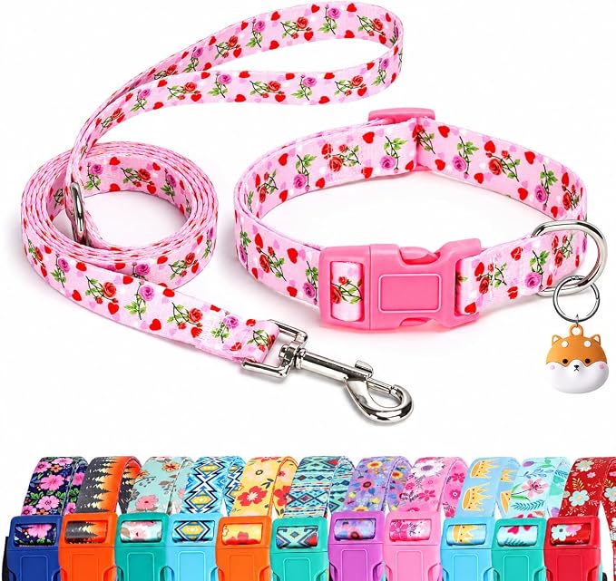 Floral Matching Dog Collar and Leash Set with AirTag Holder-Valentine's/XS | Anti-Lost,Adjustable Durable Pet Collar Leash Combo for Puppy X-Small Boy Girl Dogs,Outdoor Walking Hiking Training Running